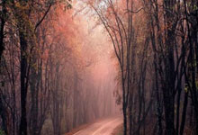 72ntsc色域与100rpg色域-乐鱼网址